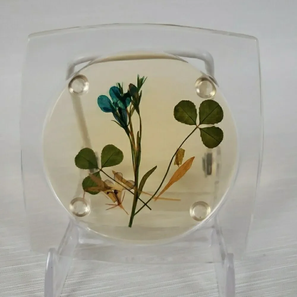 VTG 5 Clear Lucite Acrylic Coasters Pressed Flowers Clover Romantic Cottage MCM